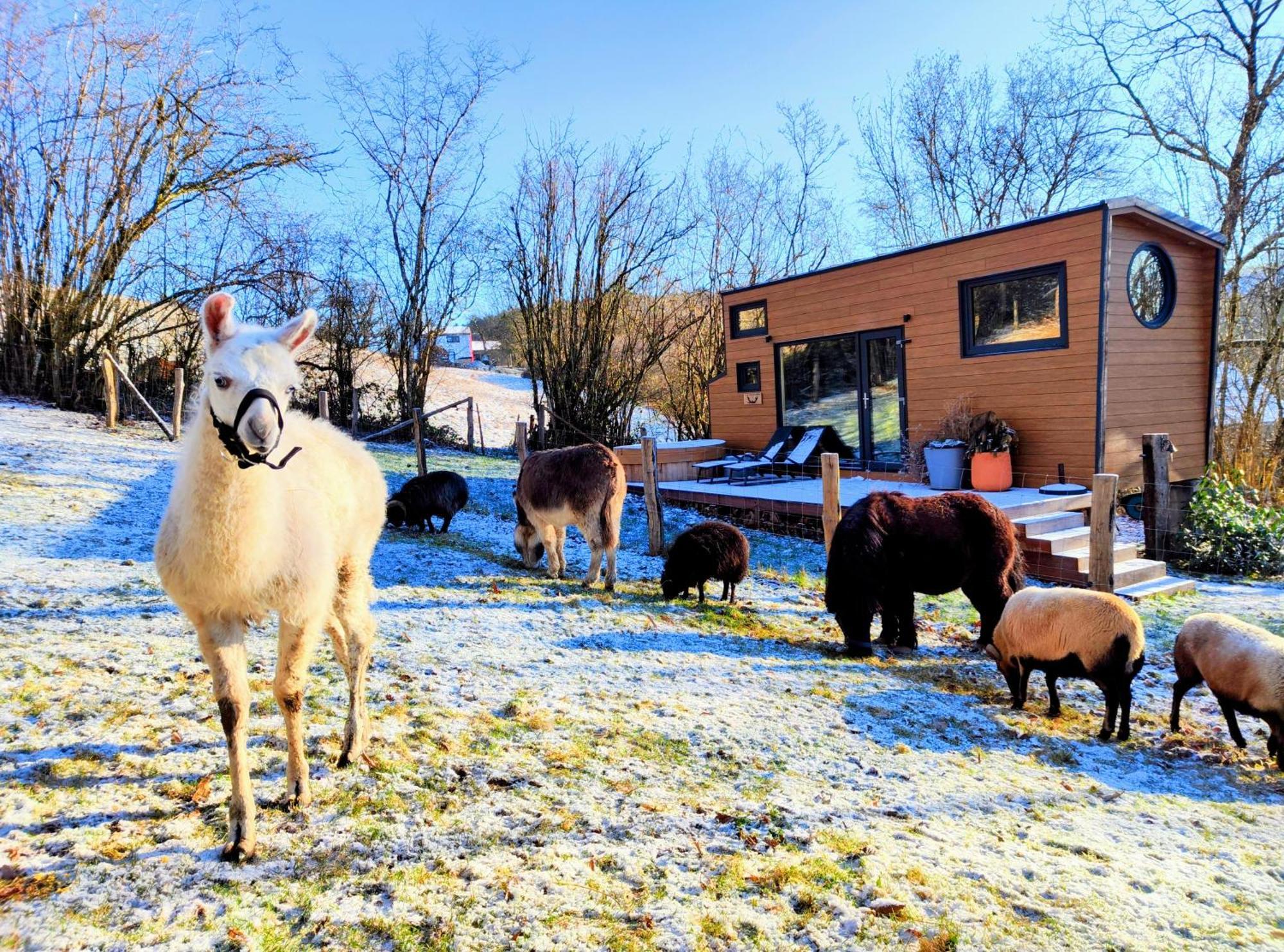 La Mini Maison Du Lama 力宾 外观 照片